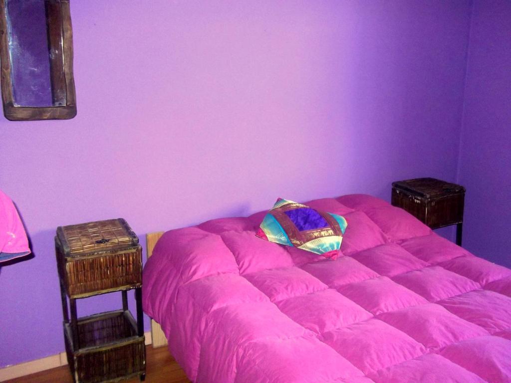 Cabanas Pehuenia Hostel El Bolson Bilik gambar